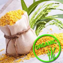 organicheskoe_psheno